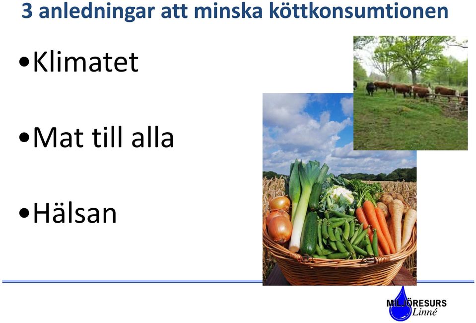 köttkonsumtionen