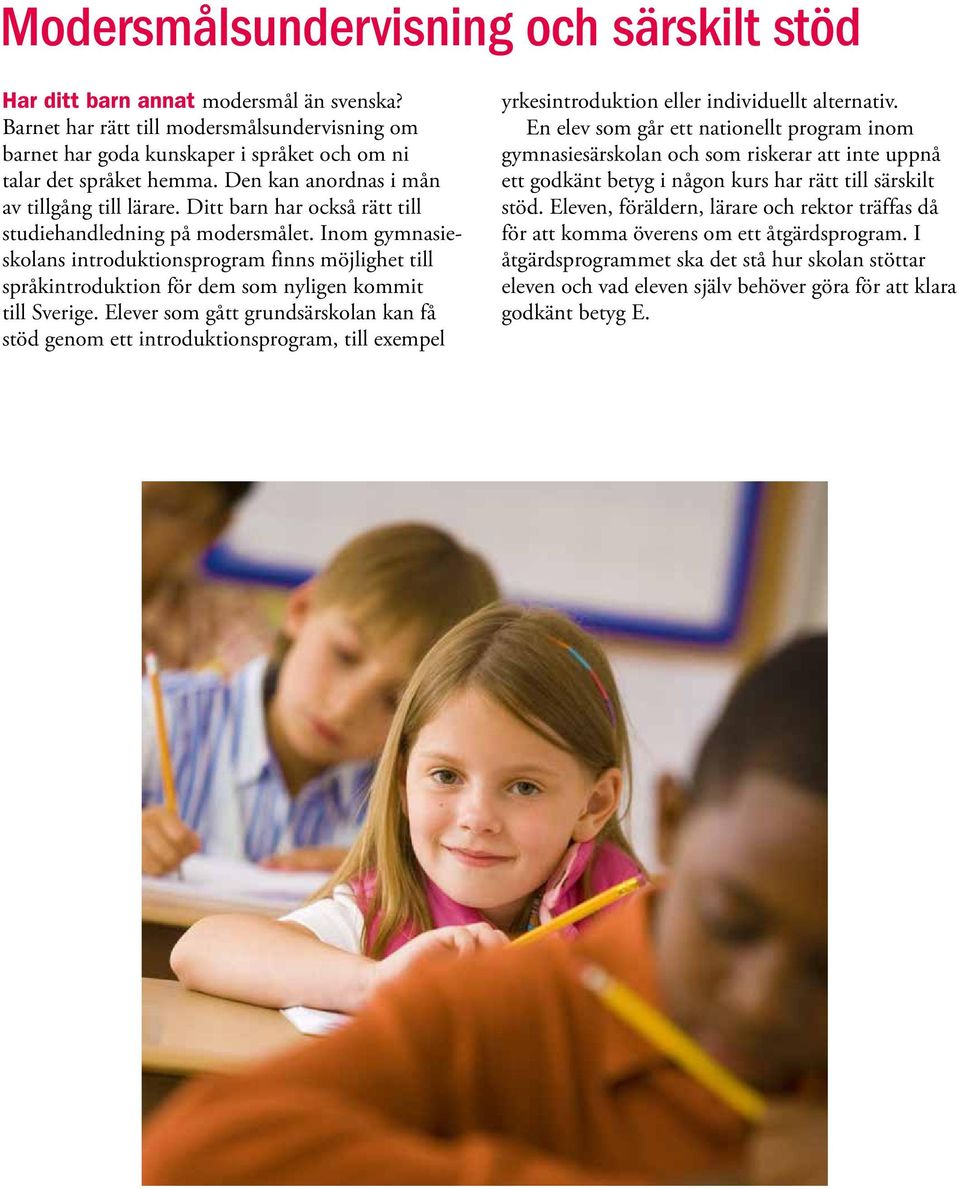 Inom gymnasieskolans introduktionsprogram finns möjlighet till språkintroduktion för dem som nyligen kommit till Sverige.