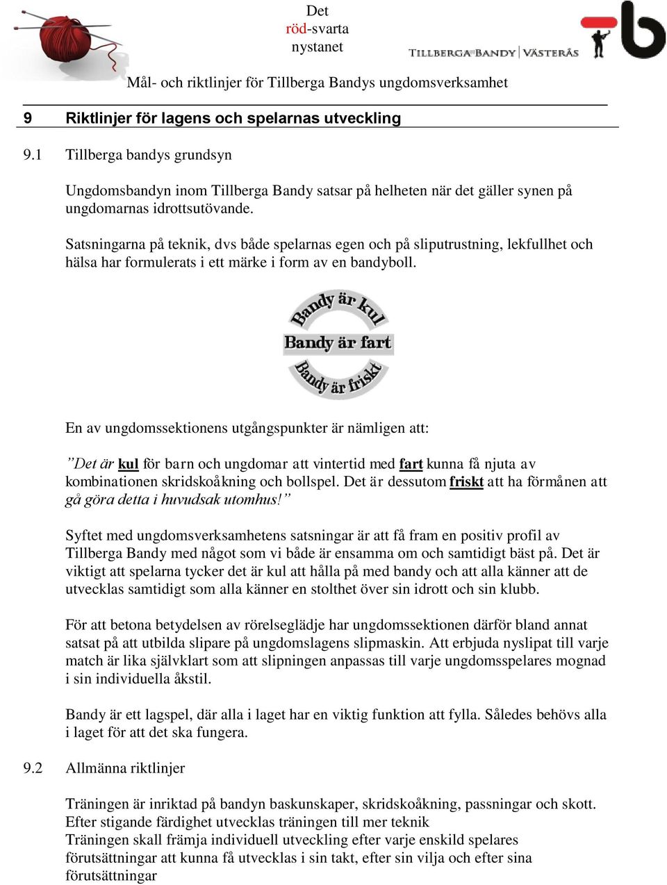 En av ungdomssektionens utgångspunkter är nämligen att: Det är kul för barn och ungdomar att vintertid med fart kunna få njuta av kombinationen skridskoåkning och bollspel.