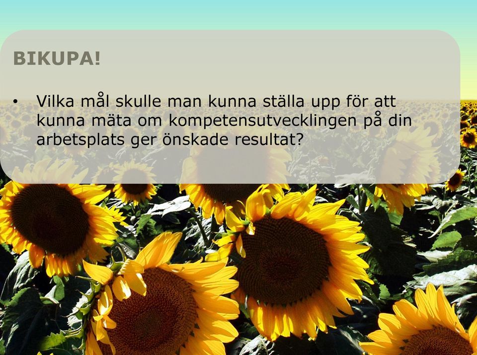 ställa upp för att kunna mäta om