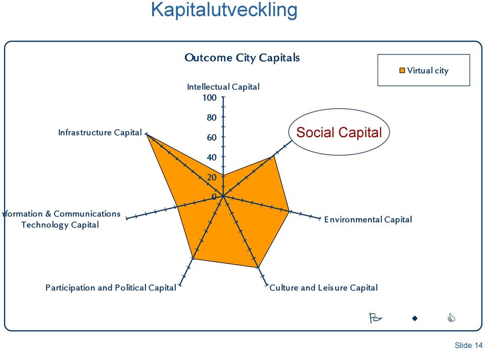 Capital 100 80 60 40 20 0 Social S Capital E nvironmental Capital P