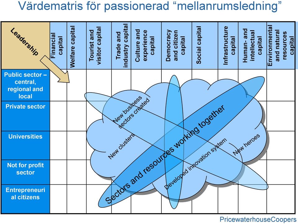 Environmental and natural resources capital Värdematris för passionerad mellanrumsledning Public sector central,