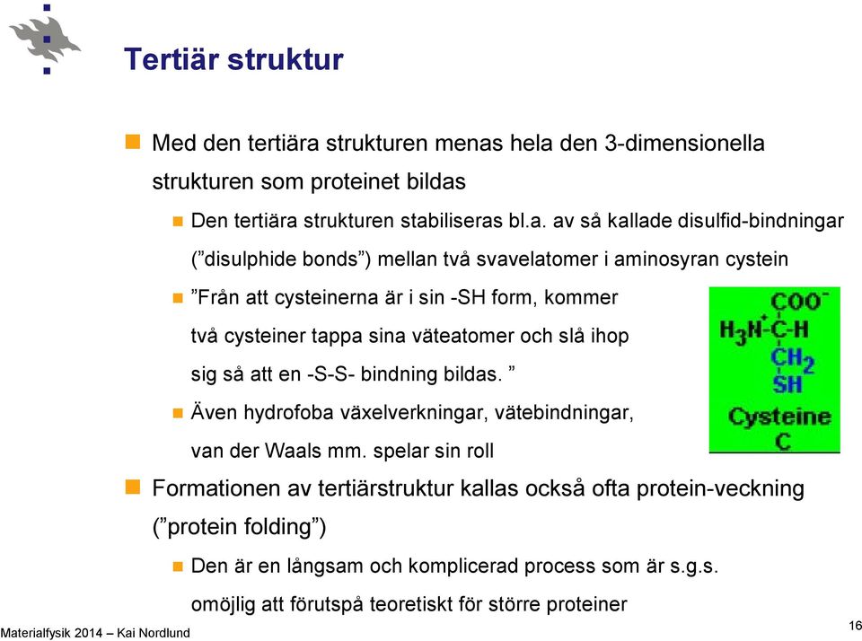 hela den 3-dimensionella strukturen som proteinet bildas Den tertiära strukturen stabiliseras bl.a. av så kallade disulfid-bindningar ( disulphide bonds ) mellan två