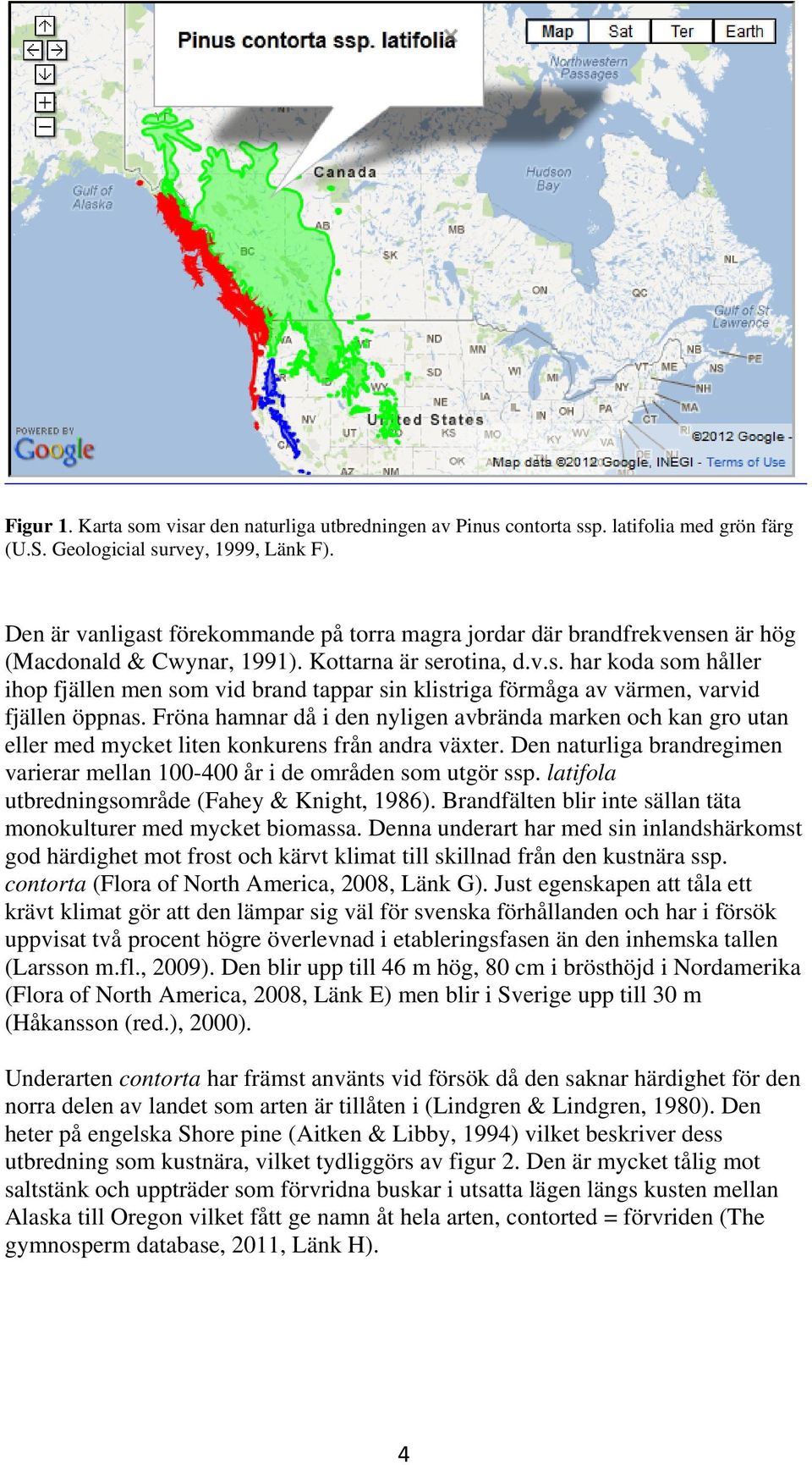 Fröna hamnar då i den nyligen avbrända marken och kan gro utan eller med mycket liten konkurens från andra växter. Den naturliga brandregimen varierar mellan 100-400 år i de områden som utgör ssp.