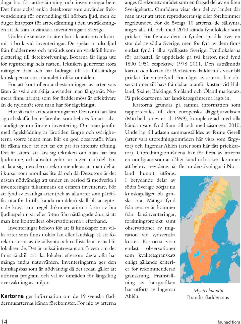 Sverige. Under de senaste tio åren har s.k. autoboxar kommit i bruk vid inventeringar. De spelar in ultraljud från fladdermöss och används som en värdefull komplettering till detektorlyssning.