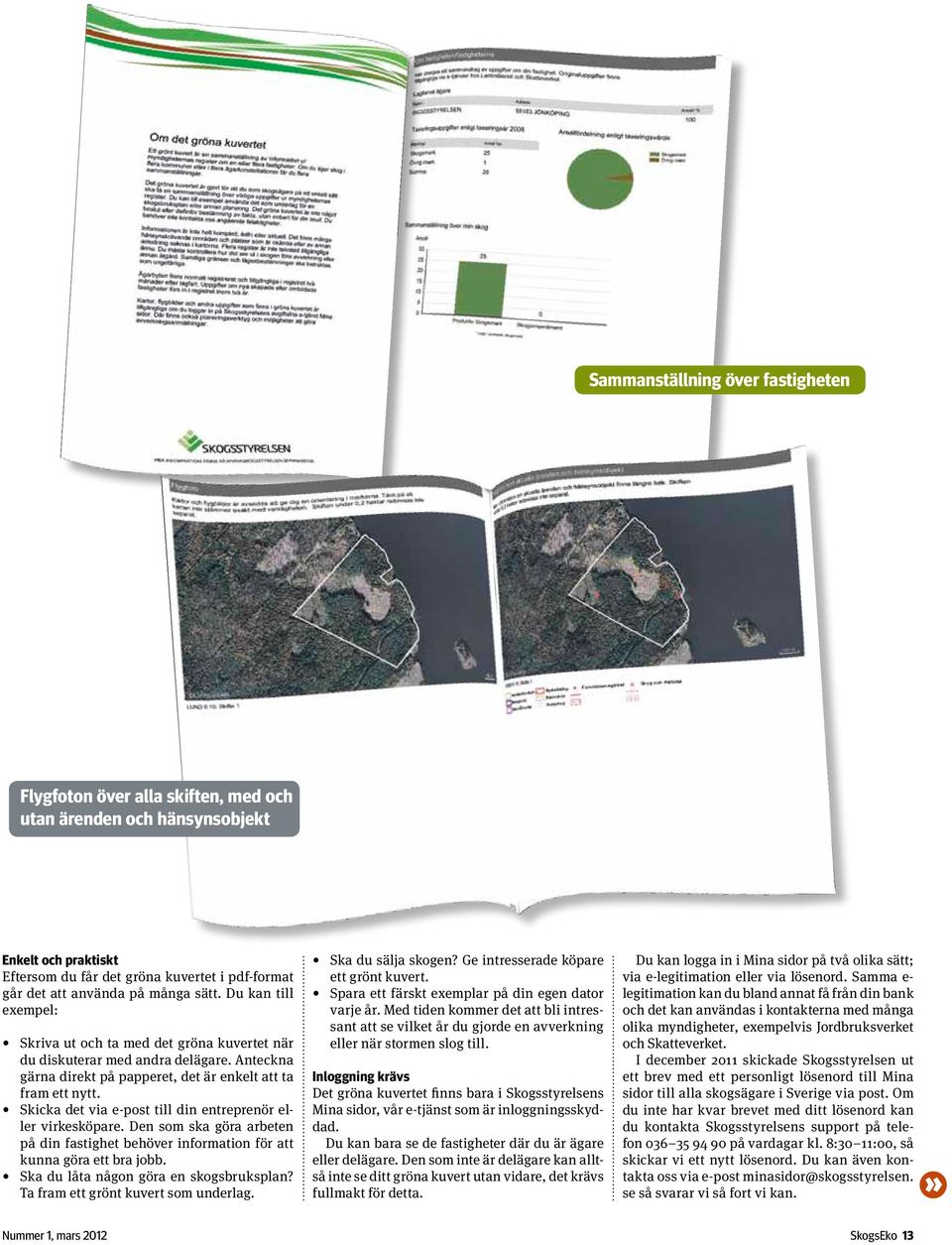 Skicka det via e-post till din entreprenör eller virkesköpare. Den som ska göra arbeten på din fastighet behöver information för att kunna göra ett bra jobb. Ska du låta någon göra en skogsbruksplan?