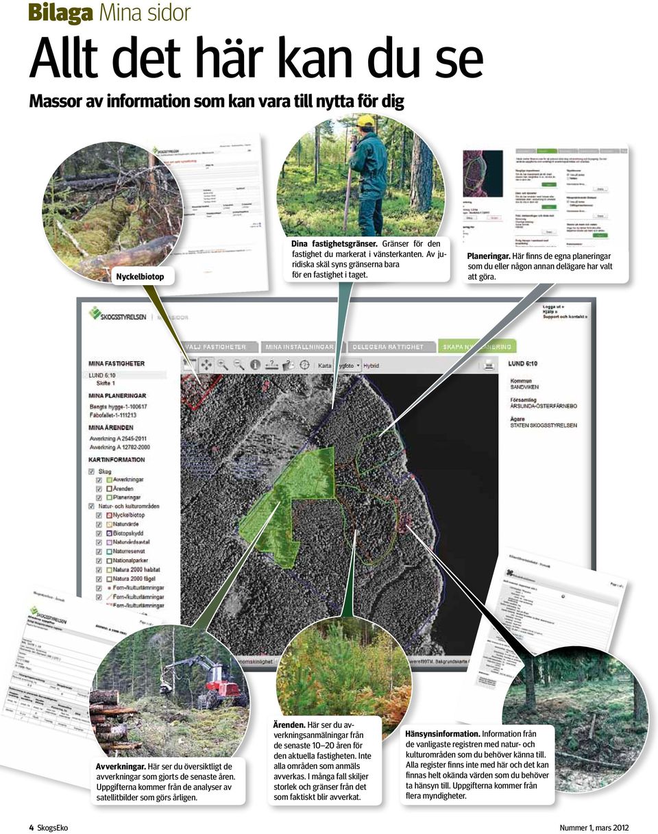 Här ser du översiktligt de avverkningar som gjorts de senaste åren. Uppgifterna kommer från de analyser av satellitbilder som görs årligen. Ärenden.