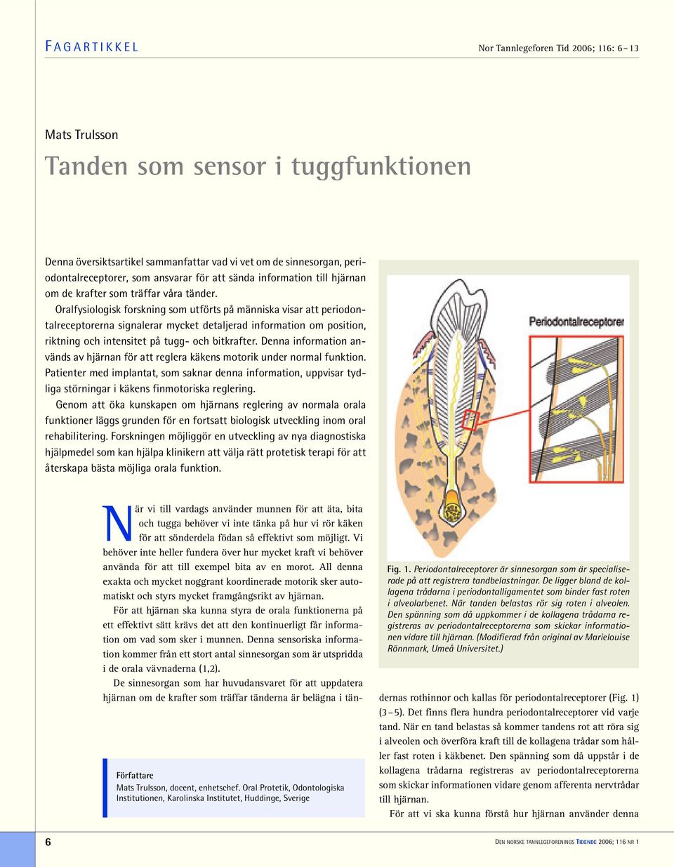 Oralfysiologisk forskning som utförts på människa visar att periodontalreceptorerna signalerar mycket detaljerad information om position, riktning och intensitet på tugg- och bitkrafter.