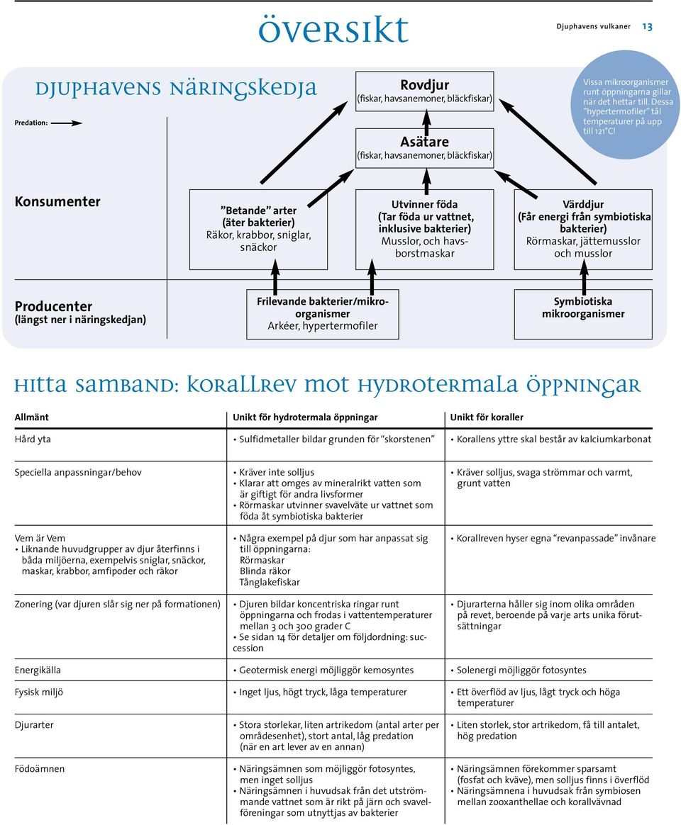 Konsumenter Betande arter (äter bakterier) Räkor, krabbor, sniglar, snäckor Utvinner föda (Tar föda ur vattnet, inklusive bakterier) Musslor, och havsborstmaskar Värddjur (Får energi från symbiotiska