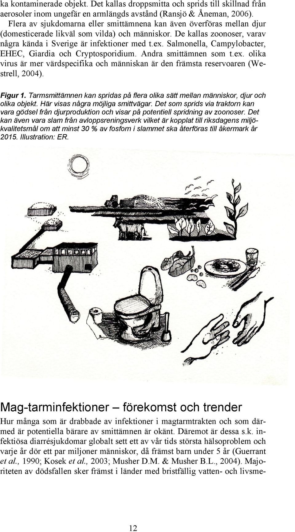 Salmonella, Campylobacter, EHEC, Giardia och Cryptosporidium. Andra smittämnen som t.ex. olika virus är mer värdspecifika och människan är den främsta reservoaren (Westrell, 2004). Figur 1.