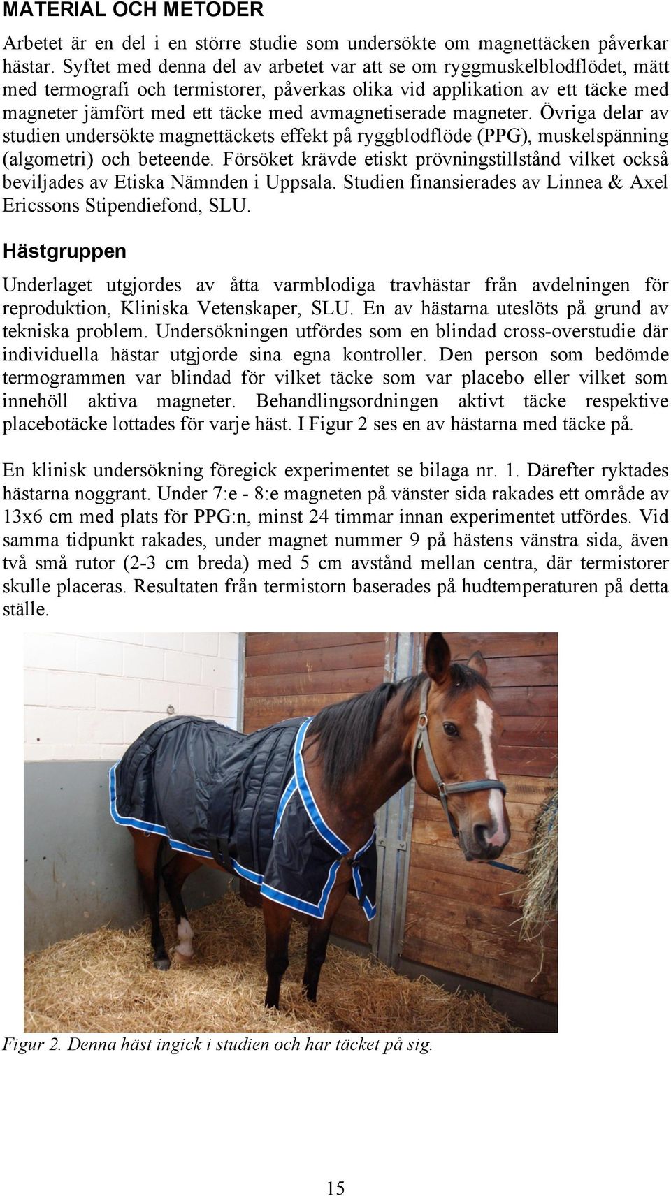 avmagnetiserade magneter. Övriga delar av studien undersökte magnettäckets effekt på ryggblodflöde (PPG), muskelspänning (algometri) och beteende.