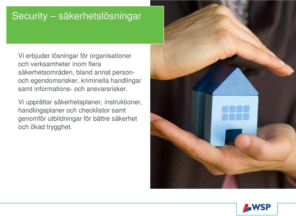 samt informations- och ansvarsrisker.