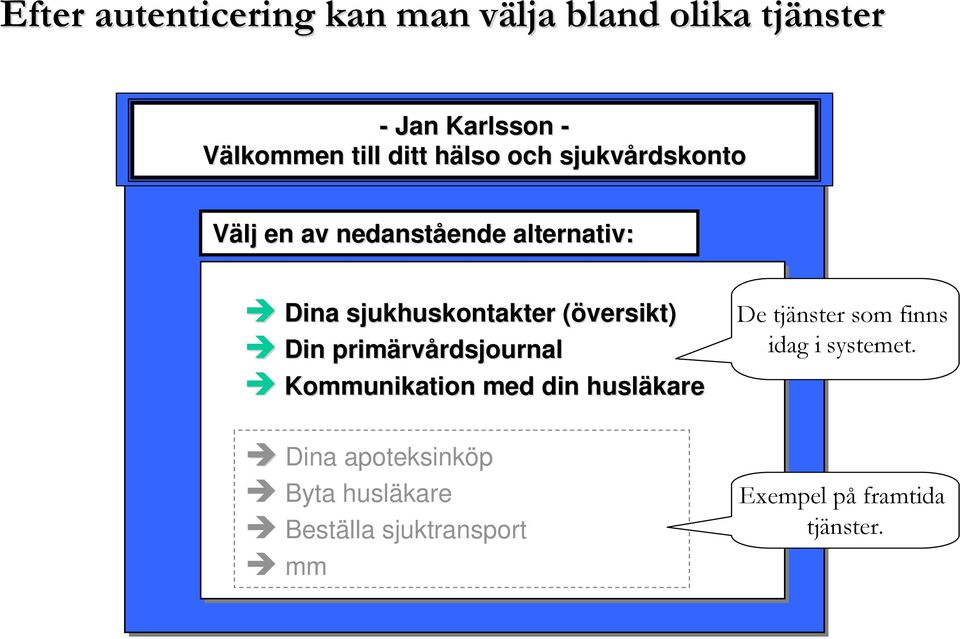 (översikt)( Din primärv rvårdsjournalrdsjournal Kommunikation med din husläkare Dina apoteksinköp