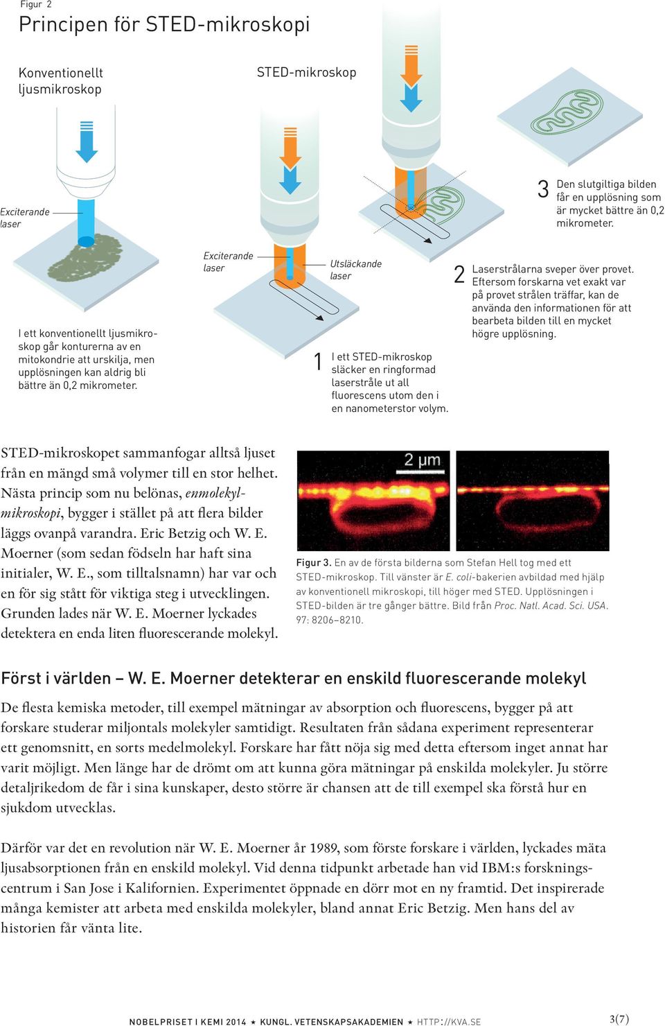 Exciterande laser 1 Utsläckande laser I ett STED-mikroskop släcker en ringformad laserstråle ut all fluorescens utom den i en nanometerstor volym. 2 Laserstrålarna sveper över provet.