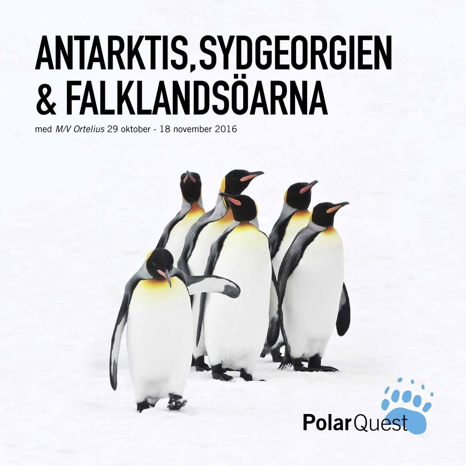 FALKLANDSÖARNA med