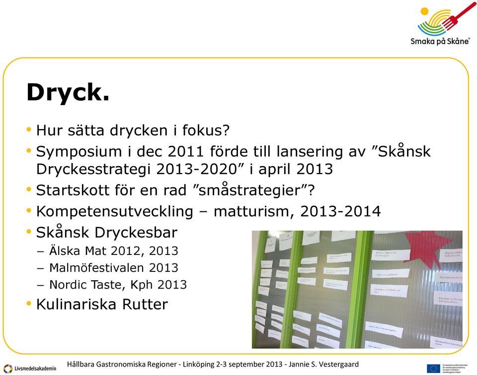 2013-2020 i april 2013 Startskott för en rad småstrategier?
