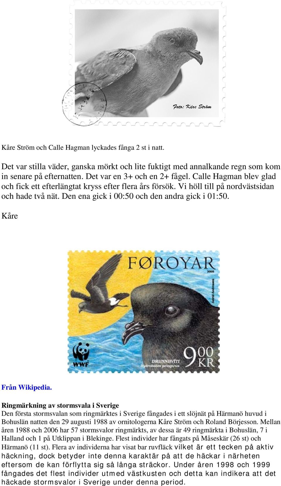 Ringmärkning av stormsvala i Sverige Den första stormsvalan som ringmärktes i Sverige fångades i ett slöjnät på Härmanö huvud i Bohuslän natten den 29 augusti 1988 av ornitologerna Kåre Ström och