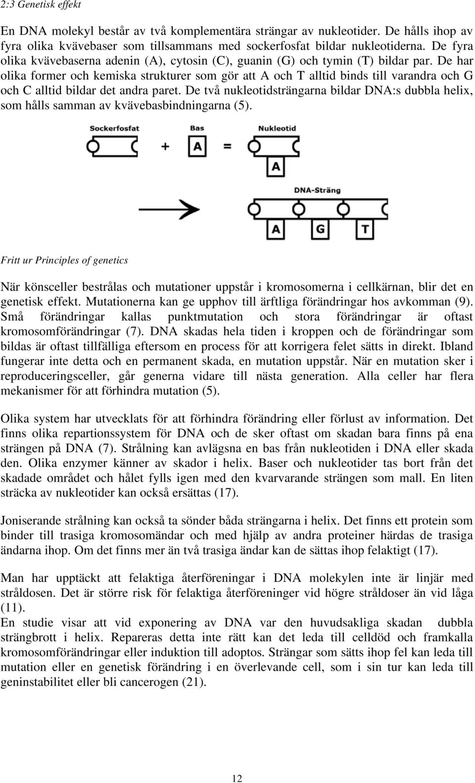 De har olika former och kemiska strukturer som gör att A och T alltid binds till varandra och G och C alltid bildar det andra paret.