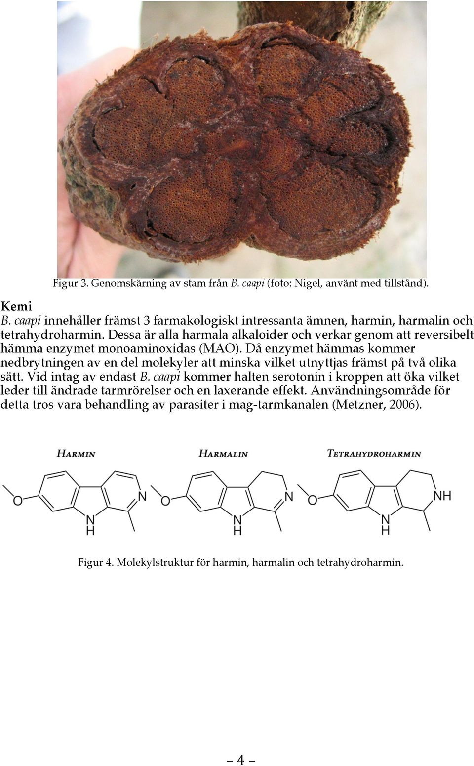 Dessa är alla harmala alkaloider och verkar genom att reversibelt hämma enzymet monoaminoxidas (MAO).