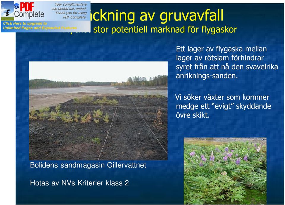 svavelrika anriknings-sanden. sanden.