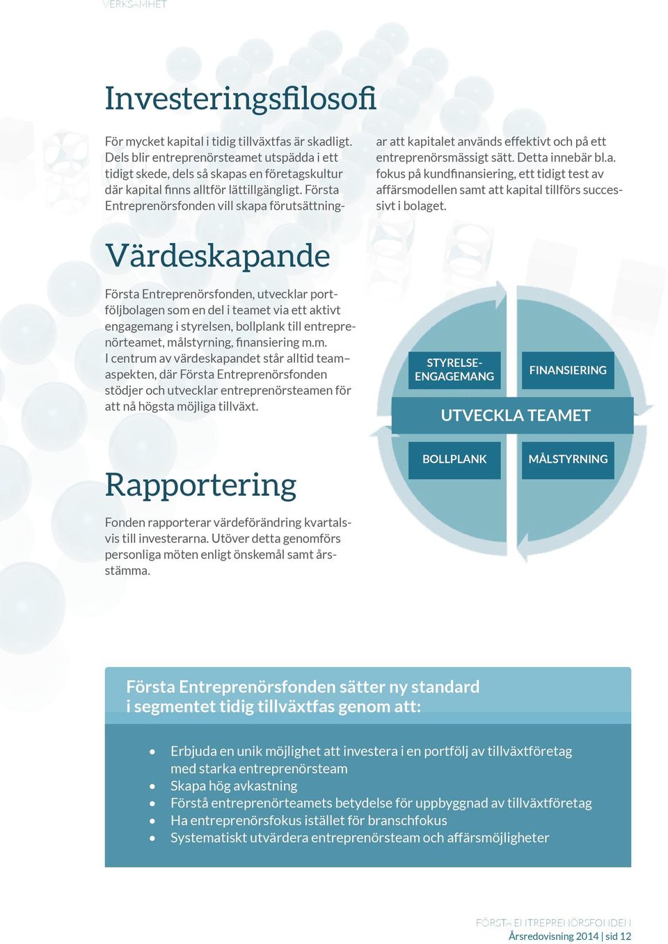 Första Entreprenörsfonden vill skapa förutsättningar att kapitalet används effektivt och på ett entreprenörsmässigt sätt. Detta innebär bl.a. fokus på kundfinansiering, ett tidigt test av affärsmodellen samt att kapital tillförs successivt i bolaget.