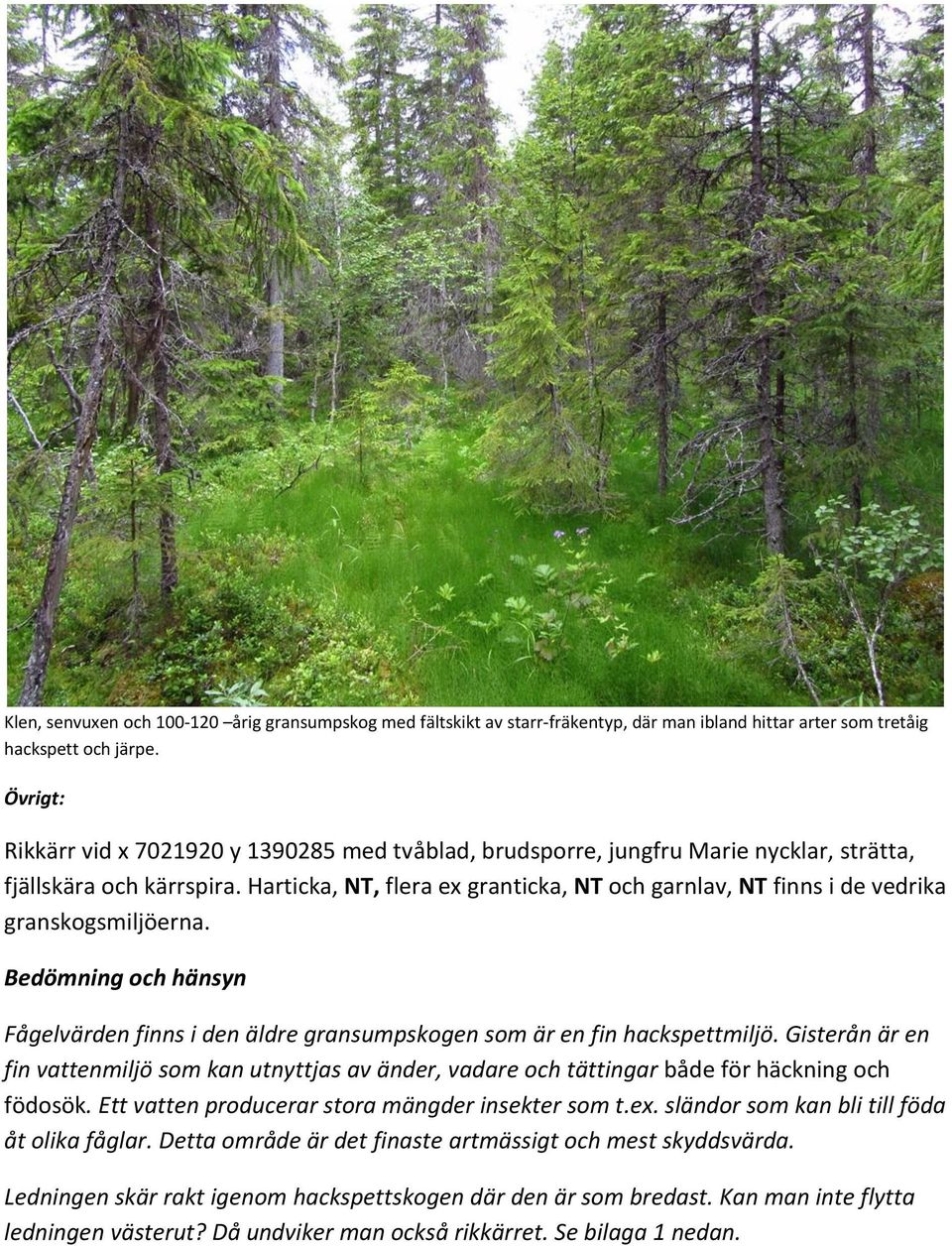 Harticka, NT, flera ex granticka, NT och garnlav, NT finns i de vedrika granskogsmiljöerna. Bedömning och hänsyn Fågelvärden finns i den äldre gransumpskogen som är en fin hackspettmiljö.