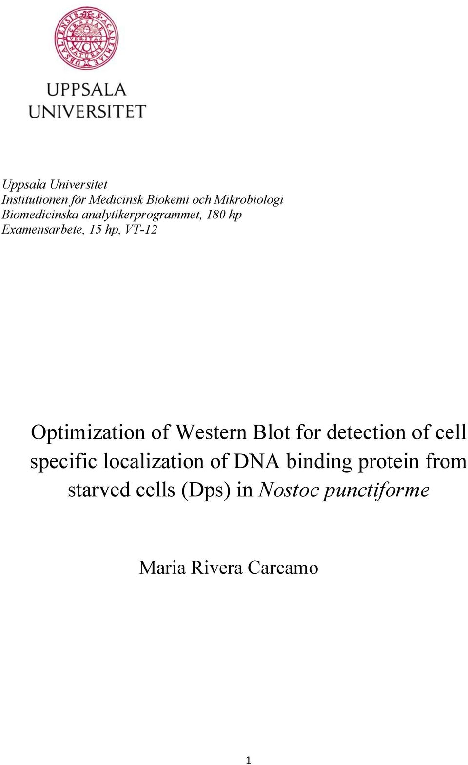 Optimization of Western Blot for detection of cell specific localization of