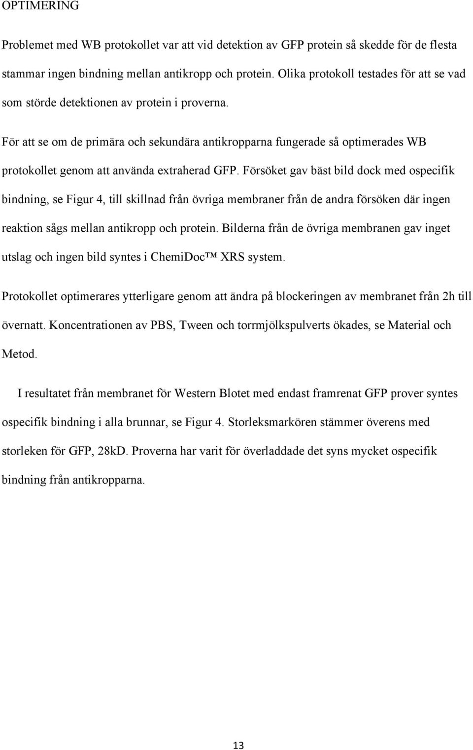 För att se om de primära och sekundära antikropparna fungerade så optimerades WB protokollet genom att använda extraherad GFP.