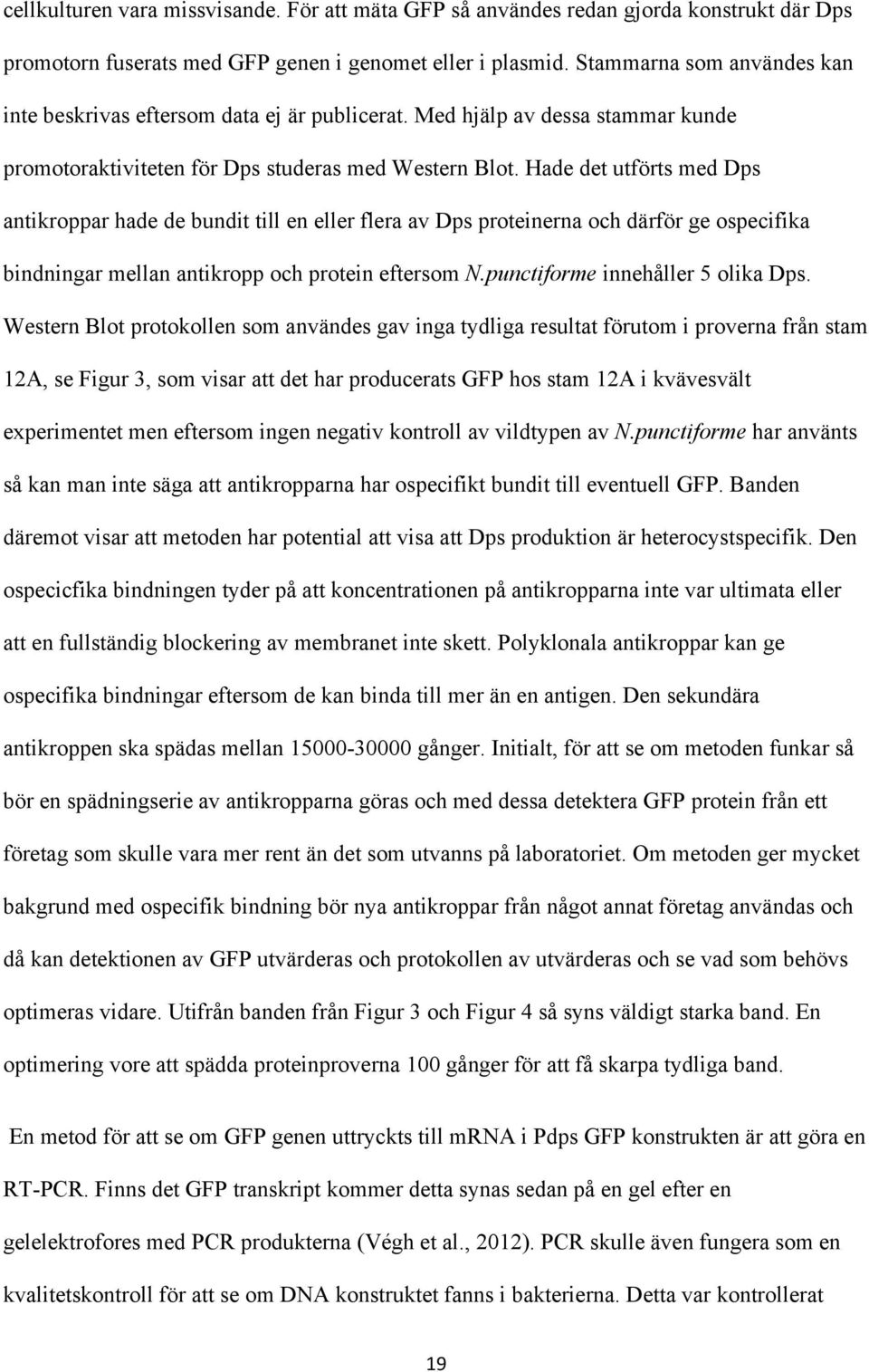 Hade det utförts med Dps antikroppar hade de bundit till en eller flera av Dps proteinerna och därför ge ospecifika bindningar mellan antikropp och protein eftersom N.