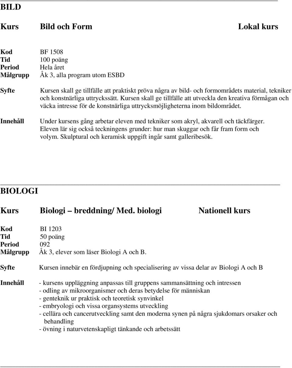 Under kursens gång arbetar eleven med tekniker som akryl, akvarell och täckfärger. Eleven lär sig också teckningens grunder: hur man skuggar och får fram form och volym.