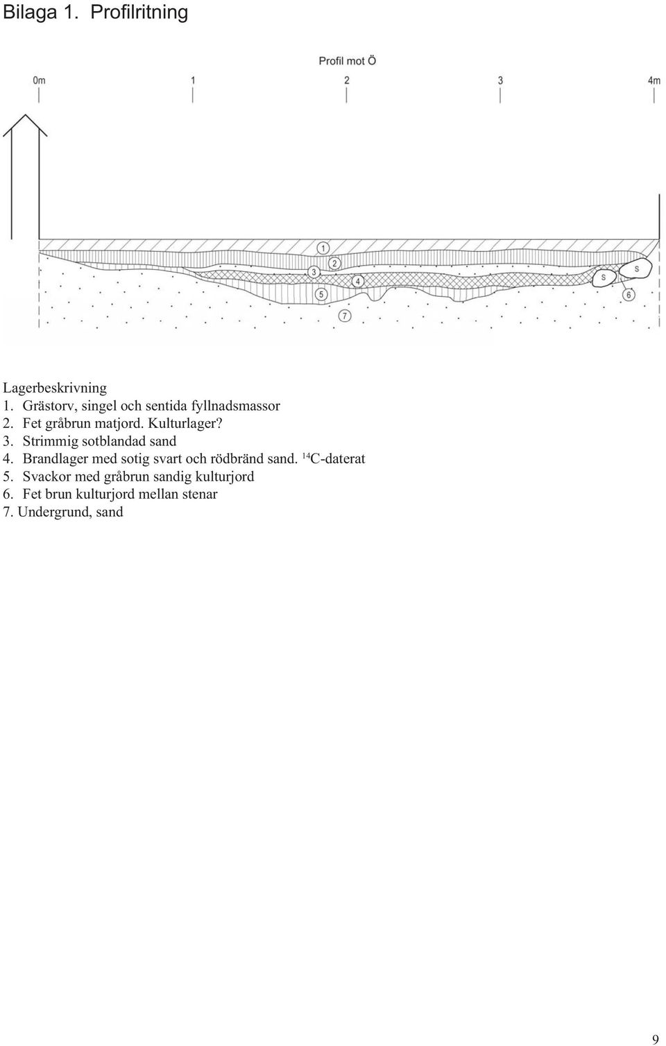Kulturlager? 3. Strimmig sotblandad sand 4.