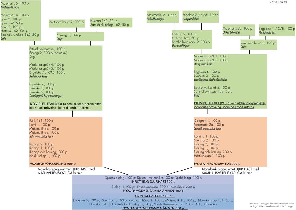 Historia 2, 100 p Samhällskunskap 2, 100 p Utökad behörighet Moderna språk 4, 100 p Moderna språk 3, 100 p Engelska 6, 100 p Svenska 3, 100 p Grundläggande högskolebehörighet Estetisk verksamhet, 100