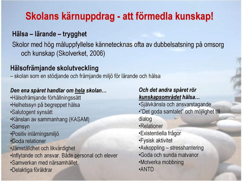 miljö för lärande och hälsa Den ena spåret handlar om hela skolan Hälsofrämjande förhållningssätt Helhetssyn på begreppet hälsa Salutogent synsätt Känslan av sammanhang (KASAM) Samsyn Positiv