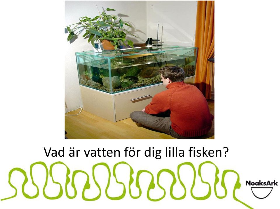 för dig