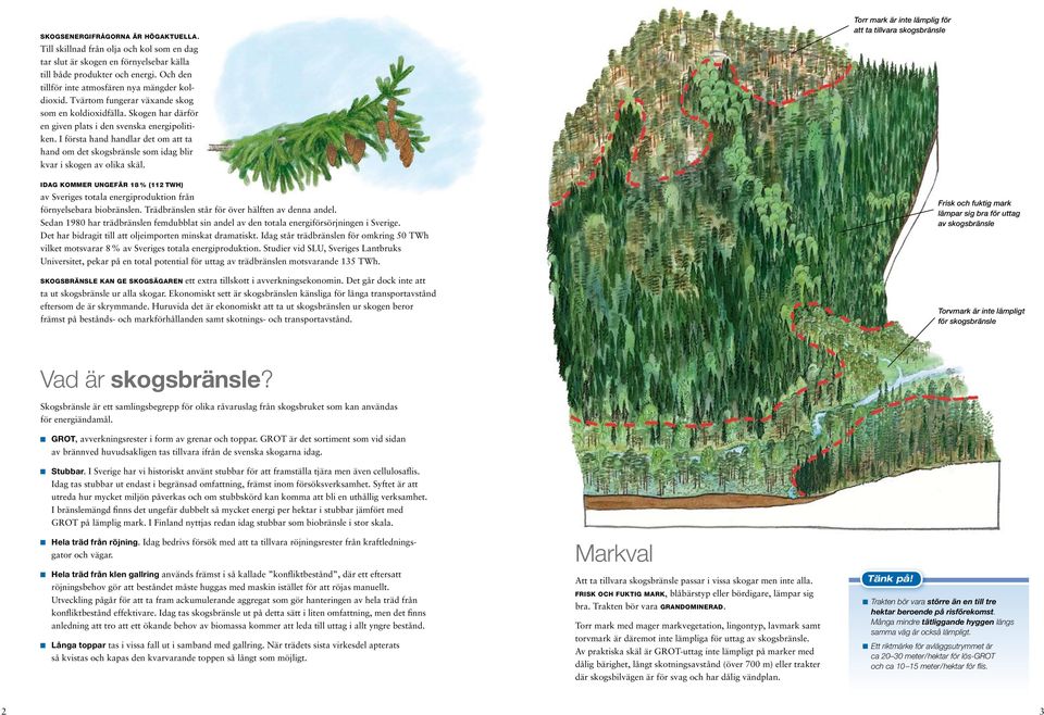 I första hand handlar det om att ta hand om det skogsbränsle som idag blir kvar i skogen av olika skäl.