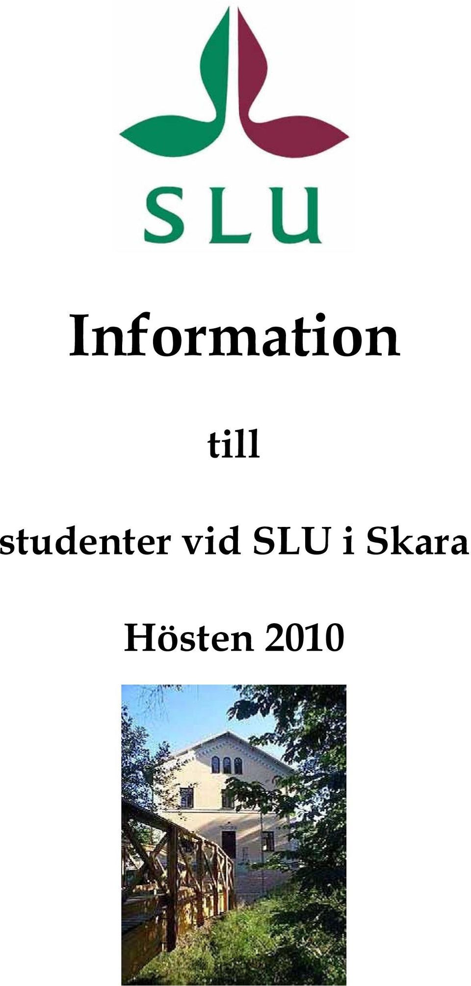 studenter vid