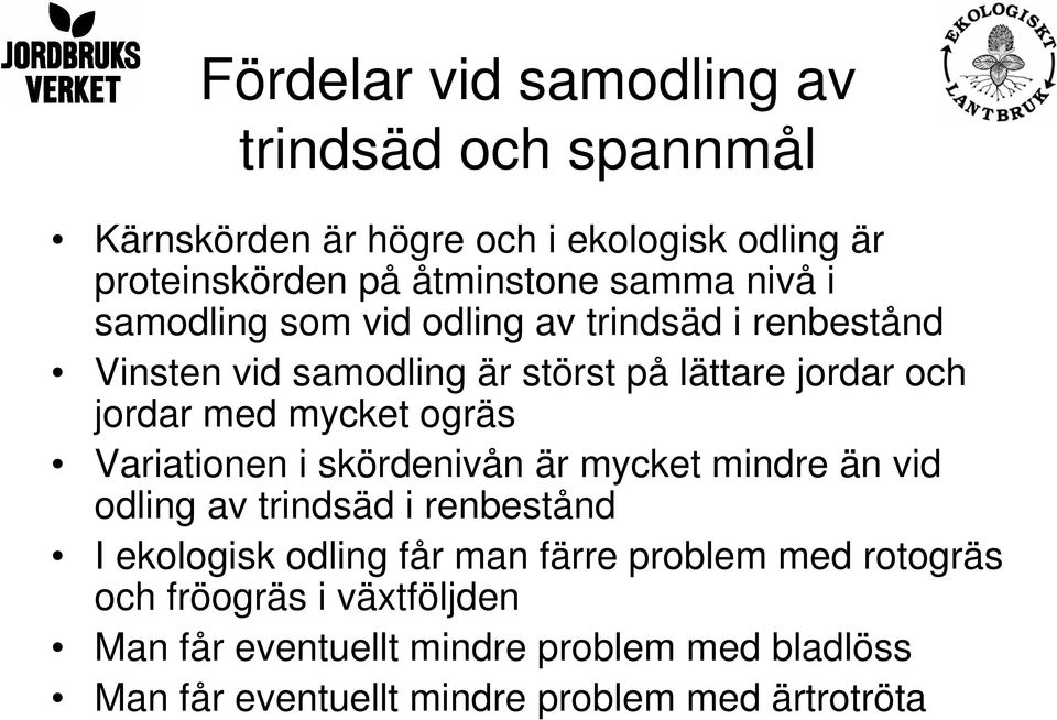 ogräs Variationen i skördenivån är mycket mindre än vid odling av trindsäd i renbestånd I ekologisk odling får man färre problem