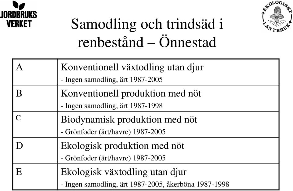 Biodynamisk produktion med nöt - Grönfoder (ärt/havre) 1987-2005 Ekologisk produktion med nöt -