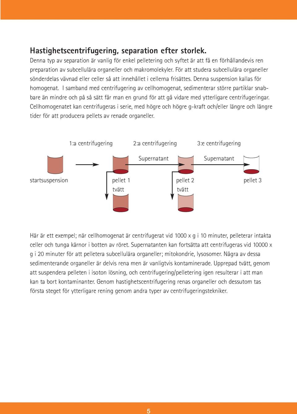 För att studera subcellulära organeller sönderdelas vävnad eller celler så att innehållet i cellerna frisättes. Denna suspension kallas för homogenat.