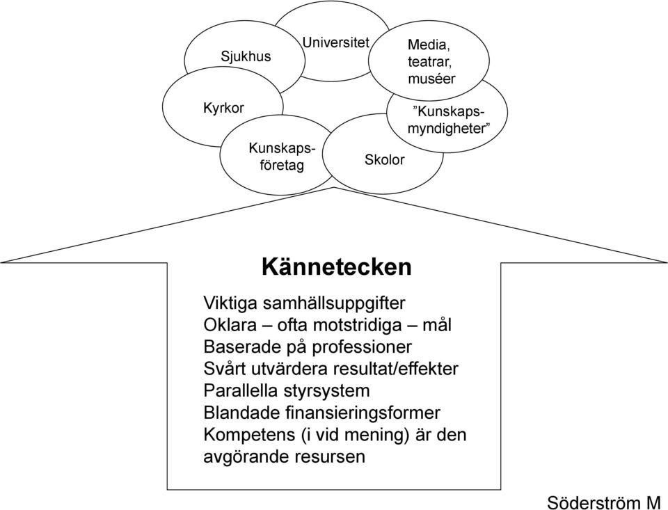 motstridiga mål Baserade på professioner Svårt utvärdera resultat/effekter