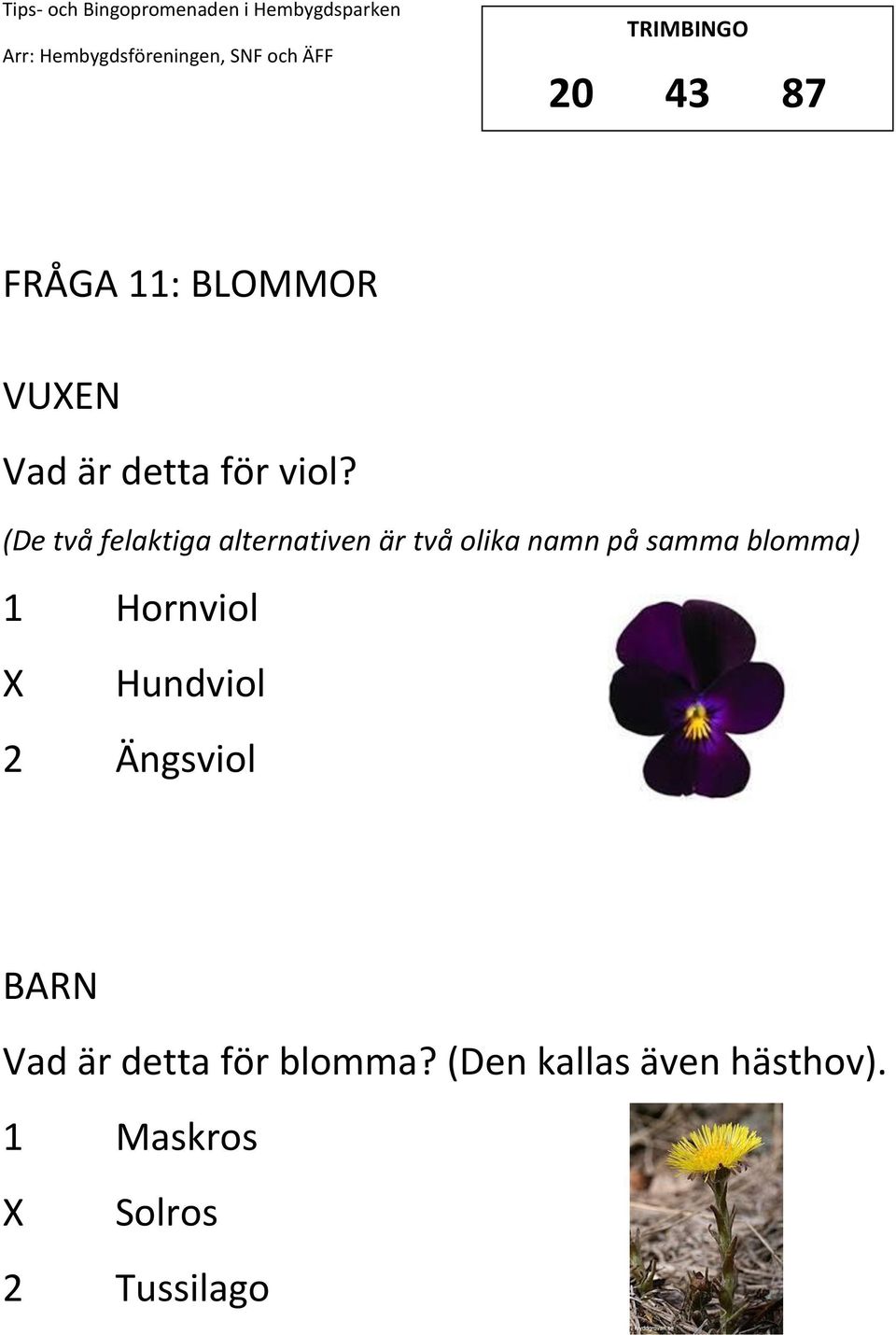 blomma) 1 Hornviol Hundviol 2 Ängsviol Vad är detta för