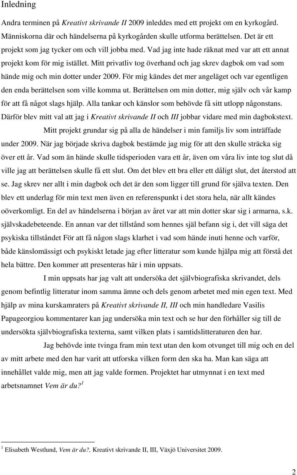 Mitt privatliv tog överhand och jag skrev dagbok om vad som hände mig och min dotter under 2009. För mig kändes det mer angeläget och var egentligen den enda berättelsen som ville komma ut.