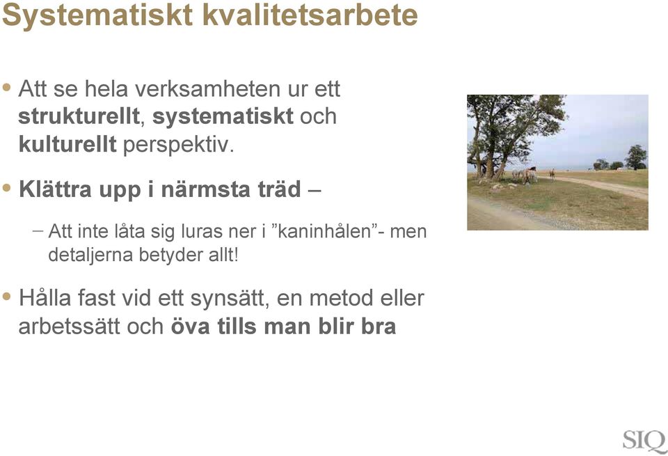 Klättra upp i närmsta träd Att inte låta sig luras ner i kaninhålen - men