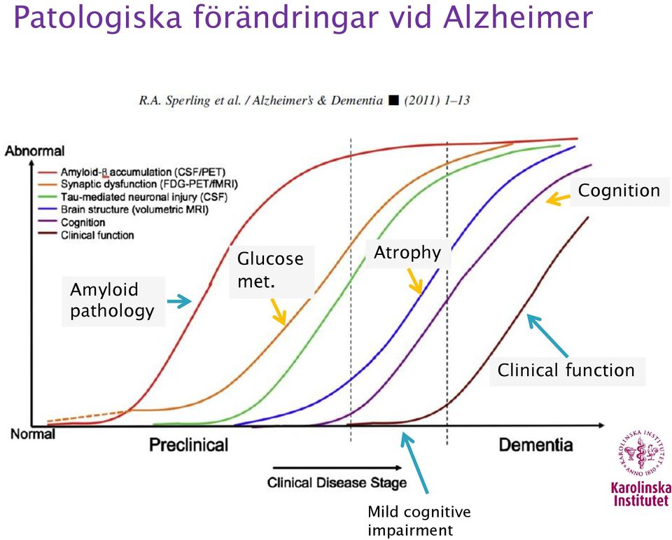 pathology Glucose met.