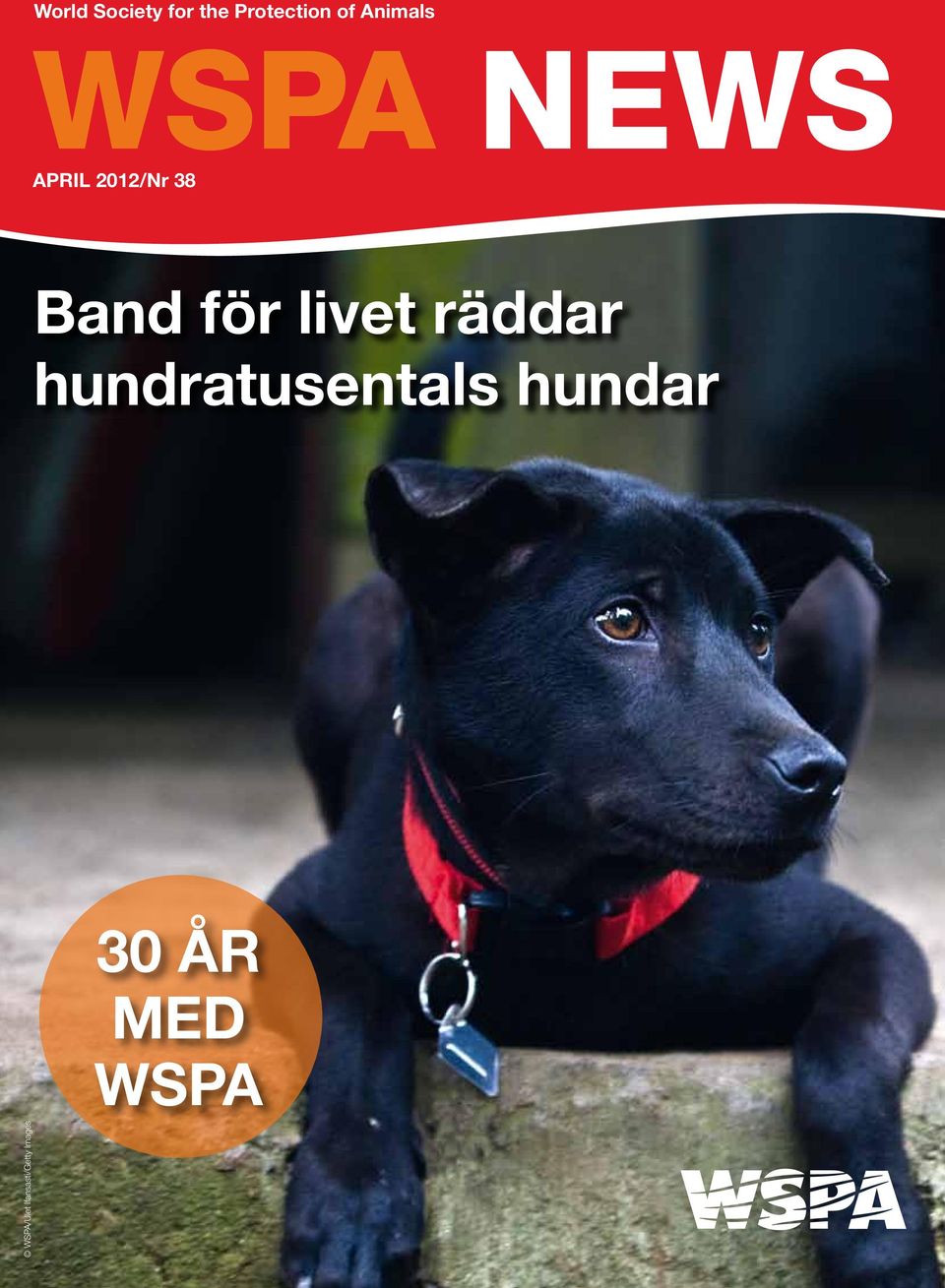 för livet räddar hundratusentals hundar