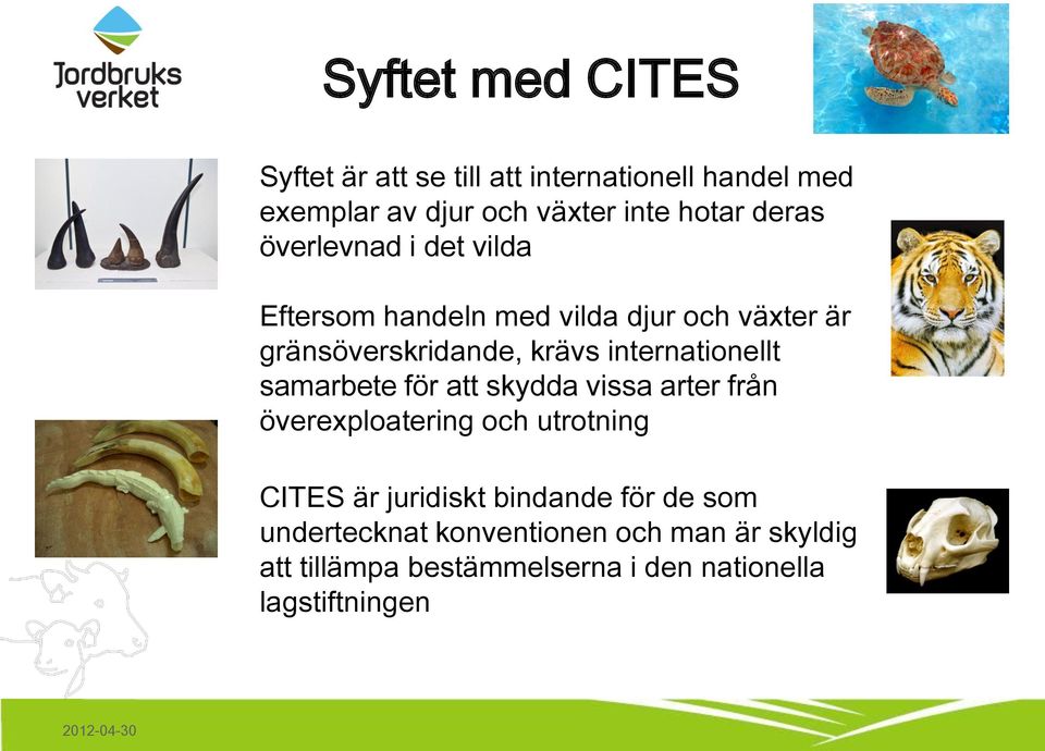 internationellt samarbete för att skydda vissa arter från överexploatering och utrotning CITES är juridiskt