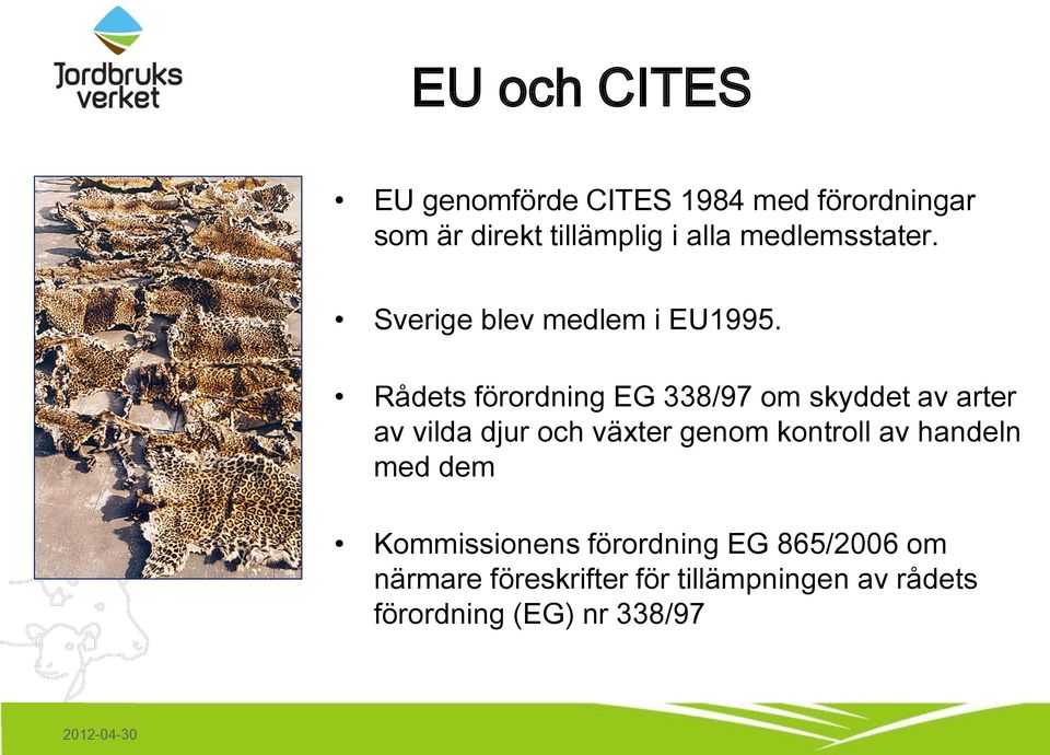 Rådets förordning EG 338/97 om skyddet av arter av vilda djur och växter genom kontroll