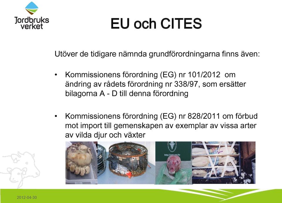 bilagorna A - D till denna förordning Kommissionens förordning (EG) nr 828/2011 om