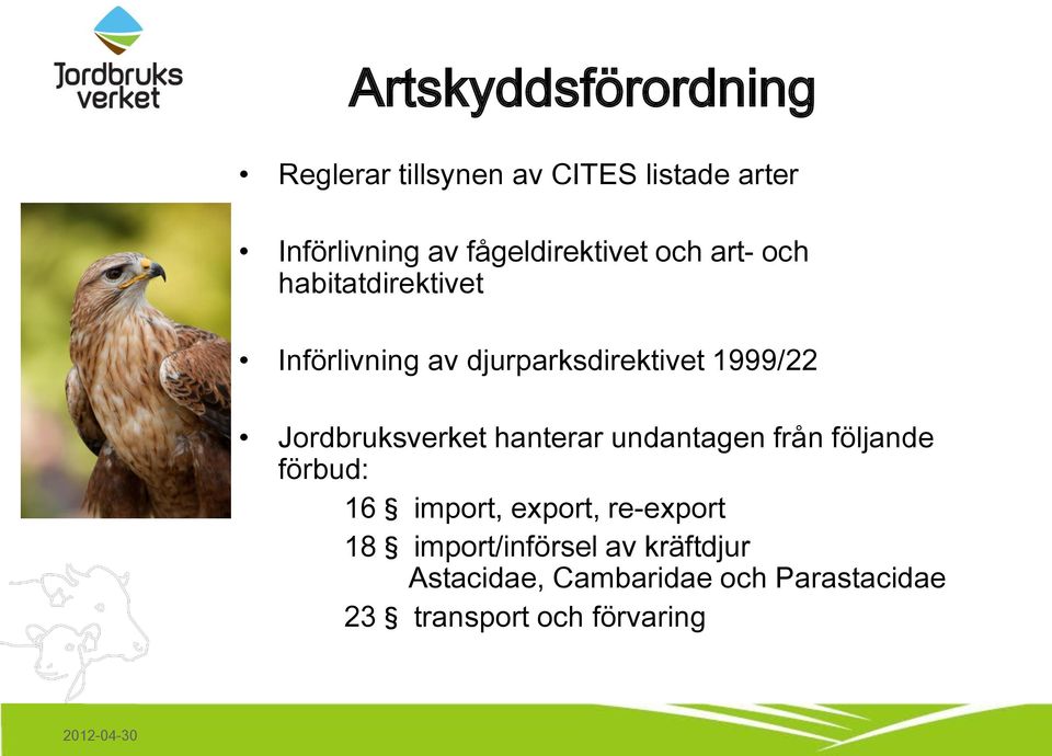 1999/22 Jordbruksverket hanterar undantagen från följande förbud: 16 import, export,