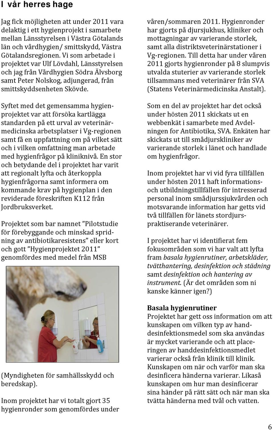 Syftet med det gemensamma hygienprojektet var att försöka kartlägga standarden på ett urval av veterinärmedicinska arbetsplatser i Vg-regionen samt få en uppfattning om på vilket sätt och i vilken